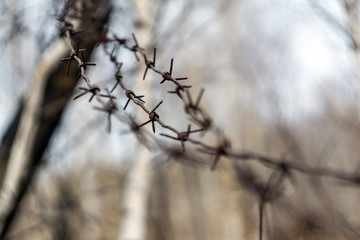 Fototapeta na wymiar barbed wire on a background of blue sky