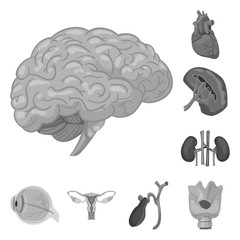 Isolated object of body and human logo. Set of body and medical stock symbol for web.