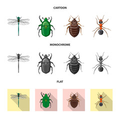 Vector illustration of insect and fly symbol. Set of insect and element stock vector illustration.