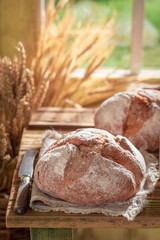 Loaf of bread with grain and ears in summer kitchen