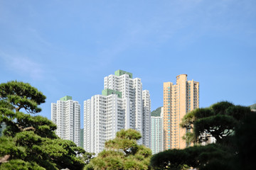 Fototapeta na wymiar Skyscrapers against blue sky seen through tree branches
