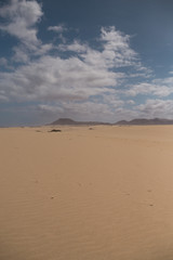 sand dunes 