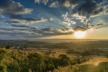 Naklejka na ściany i meble Sunset behind the mountain. flower , tree and grass