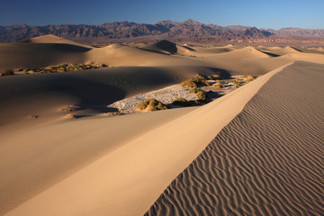 Fototapeta na wymiar desert sand