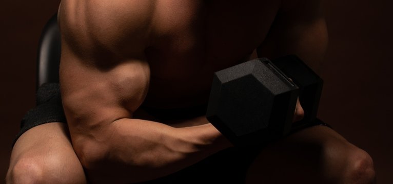 Torso