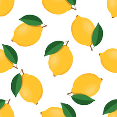 Fruits seamless pattern. Cute vector pattern. Isolated on white background