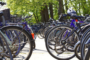 Commuter bikes parked in neat rows 