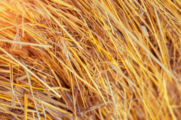 Straw Background.