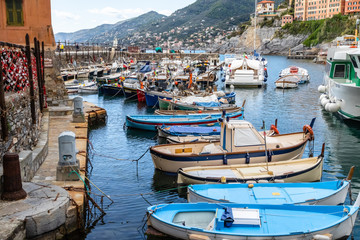 Fototapeta na wymiar the village of Camogli on the peninsula of Portofino