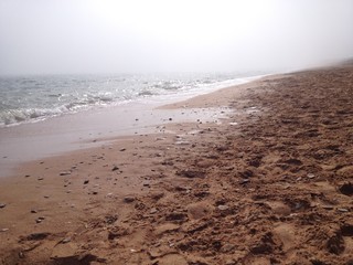 fog on the beach near the sea