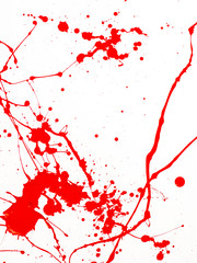 Red Paint Drips and splash on White background