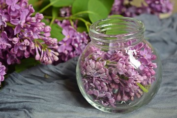 Lilac flowers in a jar on the table.Preparation of tincture of lilac to strengthen the immune system and improve the body.