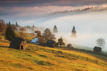 Naklejka premium Autumn landscape in Bucovina