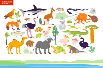 Vector flat illustration of Australia animals, seaside, plants: parrot, camel, kangaroo, crocodile, ostrich, koala, turtle, palm tree, cactus etc. For infographics, children book, alphabet, banner.