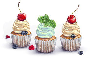 Set of vector cupcakes. A crumbly, gentle wet biscuit with a stunning soft air cream cheese ,mint-flavored, with fresh blueberry, raspberry, mint, cherry. Paper got wet from the juiciness of the cake