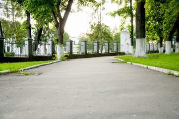 wide alley, on both sides of the lawn with bright green grass. Big trees