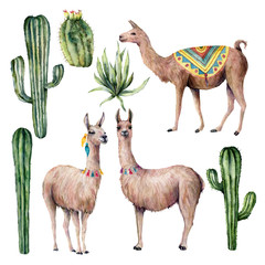 Watercolor card with llama and desert cacti. Hand painted traition botanical illustration with animal and floral on white background. For design, print, fabric or background.