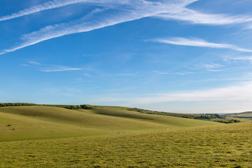 Obraz premium A green South Downs landscape with vapour trails in the blue sky overhead