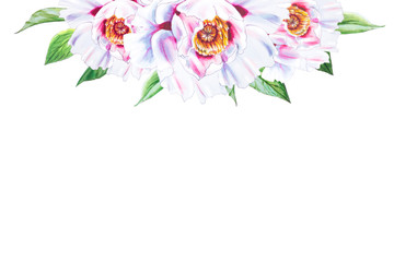 Beautiful white peony. Bouquet of flowers. Floral print. Marker drawing. Watercolor painting. Wedding and birthday composition. Greeting card. Flower painted background. Hand drawn illustration.