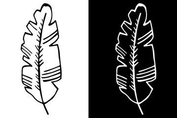 palm leaf herb floral hand drawn sketch black and white doodle