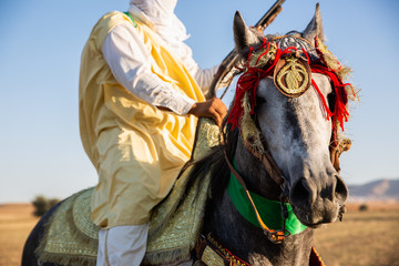 Traditional Arabic horse warrior with a gun in Algeria