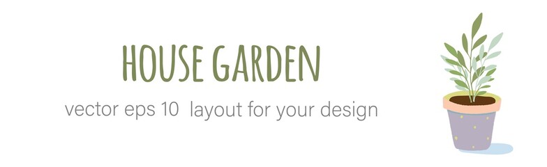 Gardening home plants in ceramic pots