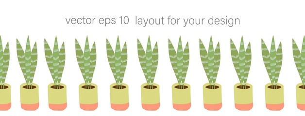 Gardening home plants in ceramic pots