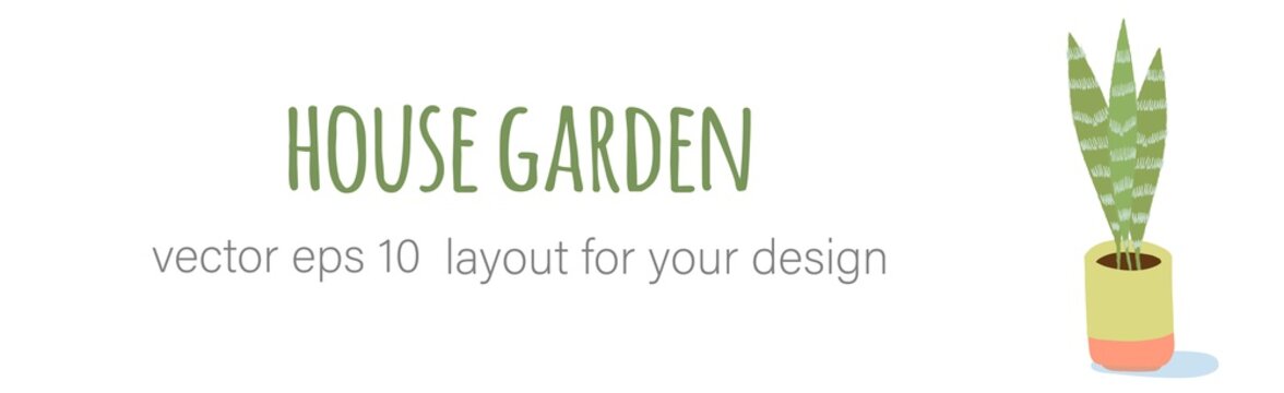 Gardening home plants in ceramic pots