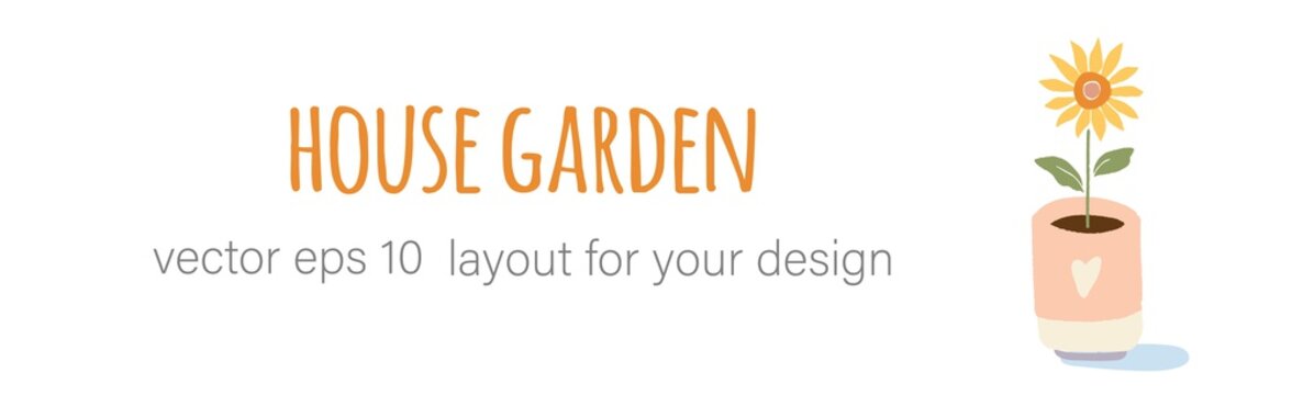 Gardening home plants in ceramic pots