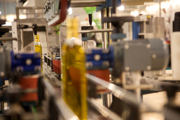 Bottles on Conveyor Belt in Factory 