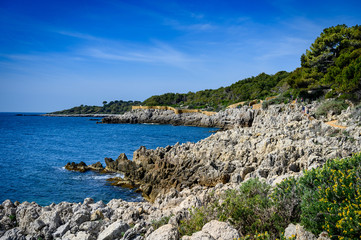 Beatiful  coastal path on the Cap d'Antibes, France.