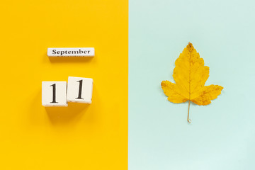 Autumn composition. Wooden calendar September 11 and yellow autumn leaves on yellow blue...