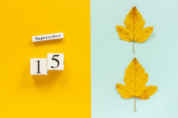 Autumn composition. Wooden calendar September 15 and yellow autumn leaves on yellow blue...