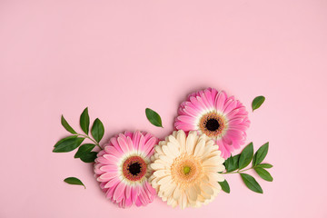 Flat lay composition with beautiful bright gerbera flowers on color background. Space for text