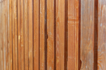 Fototapeta premium pine board ecological building material