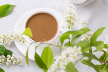Creamy Coffee in white mug with bird-cherry tree blossom