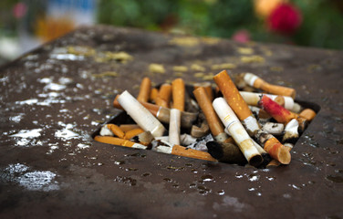 cigarettes accumulated in the public ashtray. It is raining and there are drops of water