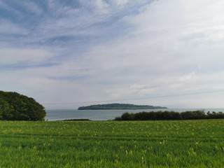green field and blue sky