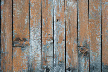 Obraz premium old wood background texture