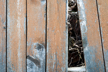 Old wooden fence with a hole. old wood background texture