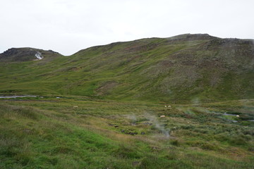 Nature on icland with fantastic landscape in summer