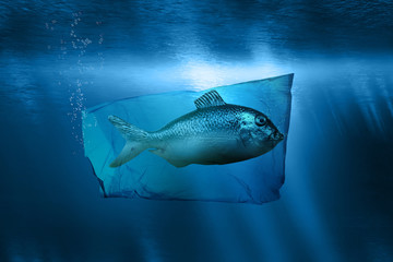 Fisch gefangen in Plastiktüte