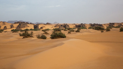 Fototapeta na wymiar Tassili N'Ajjer in Sahara desert, Algeria