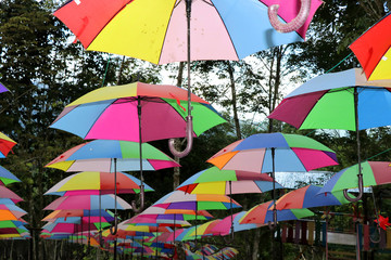 Colorful umbrellas - Borneo Malaysia Asia
