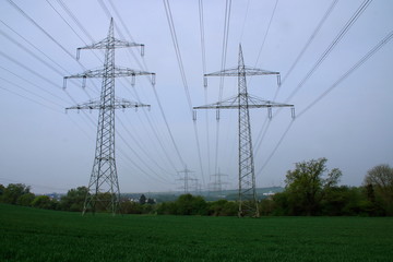 Strommaste auf einer Wiese bei Andernach in Rheinland-Pfalz