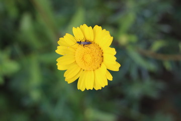 Natureza Portuguesa