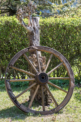 Wooden wheel of a mail coach in the green garden