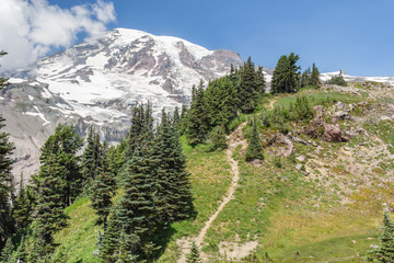 Mount Rainier from the Skyline Trail