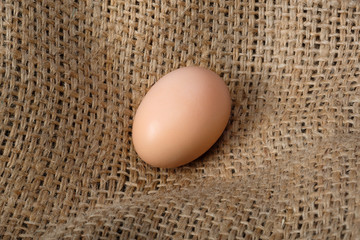 Brown egg on a bag close up. Crude products