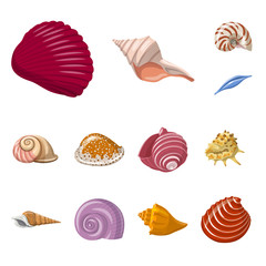 Vector illustration of seashell and mollusk icon. Set of seashell and seafood  vector icon for stock.